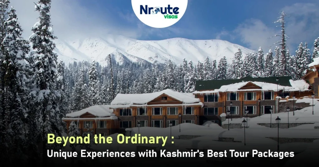 Beyond the Ordinary: Unique Experiences with Kashmir's Best Tour Packages
